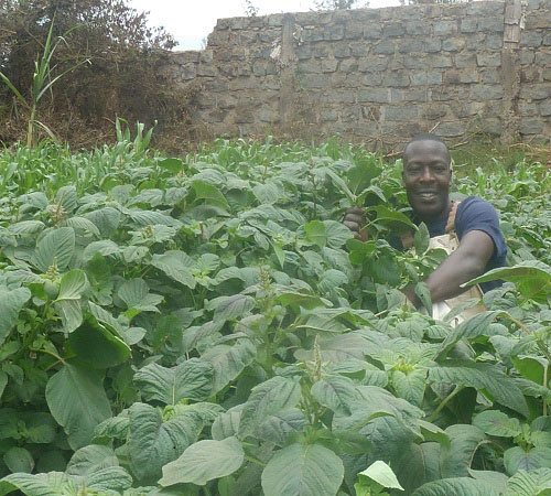Paul Simiyu Mukhwana in the garden at G-BIACK, in Keny